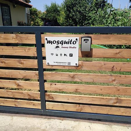 Mosquito Luxury Studio Keramotí Zewnętrze zdjęcie