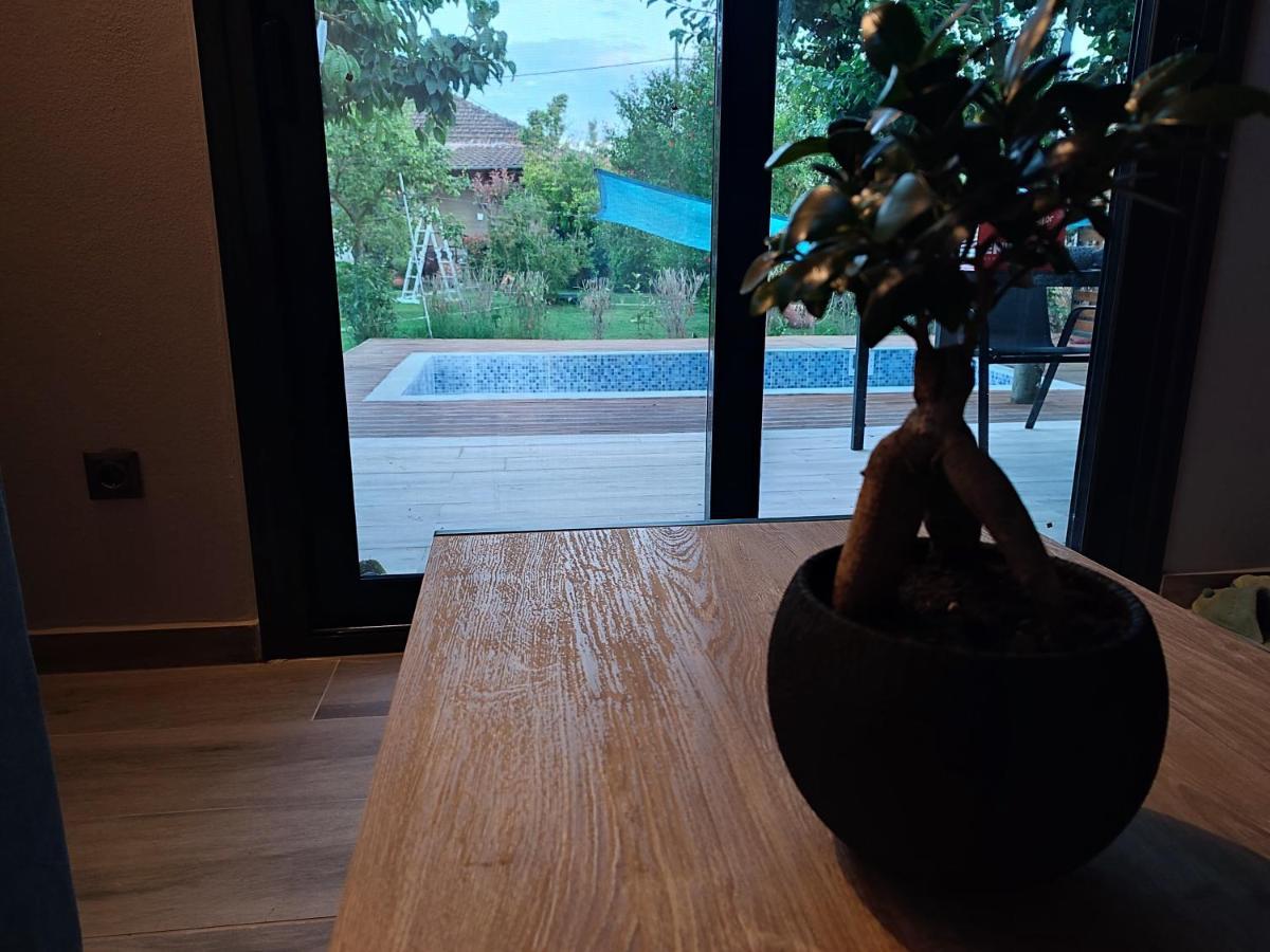 Mosquito Luxury Studio Keramotí Zewnętrze zdjęcie